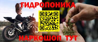 мяу мяу мука Будённовск